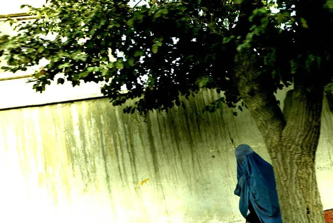 zohre-escaped Bildergalerie