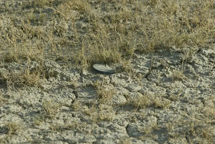 zohre-escaped Bildergalerie