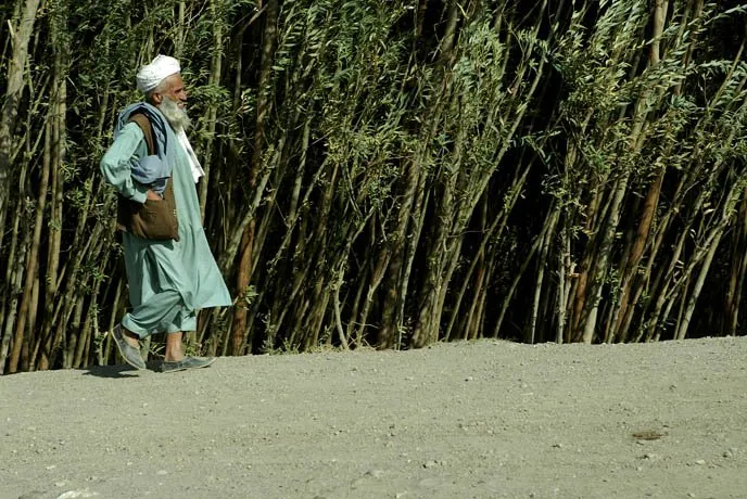 zohre-escaped Bildergalerie