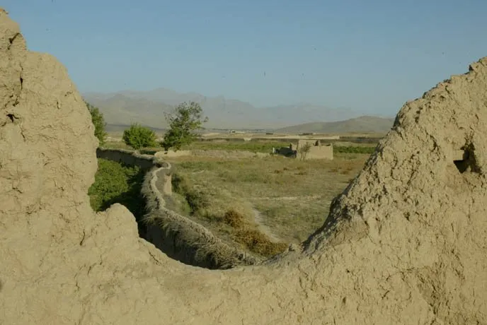 zohre-escaped Bildergalerie