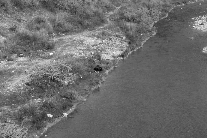 zohre-escaped Bildergalerie