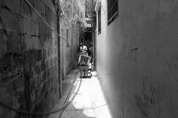 zohre-escaped Bildergalerie