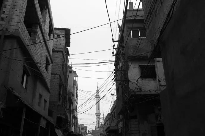 zohre-escaped Bildergalerie