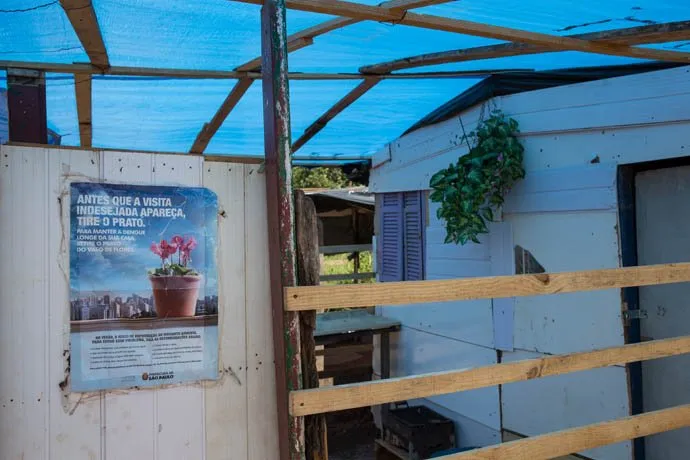 zohre-escaped Bildergalerie