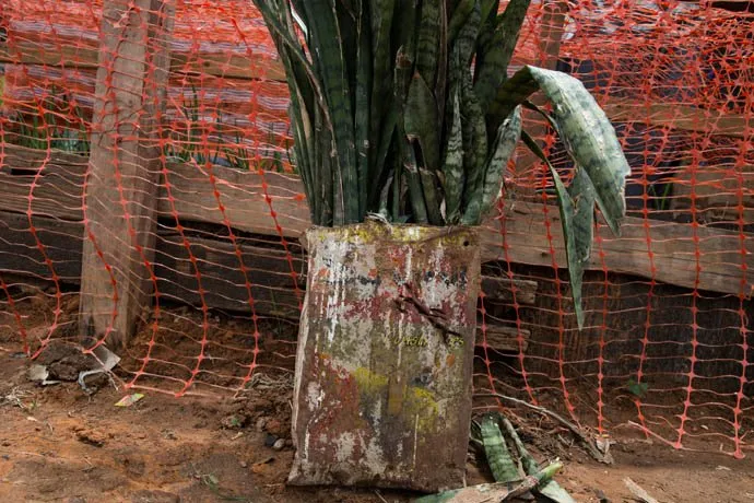 zohre-escaped Bildergalerie