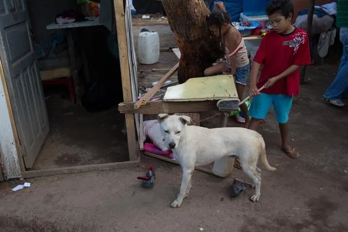 zohre-escaped Bildergalerie