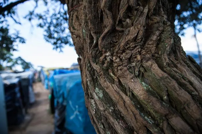 zohre-escaped Bildergalerie