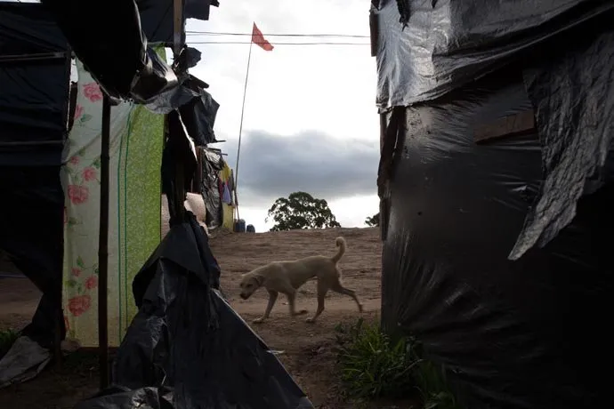 zohre-escaped Bildergalerie