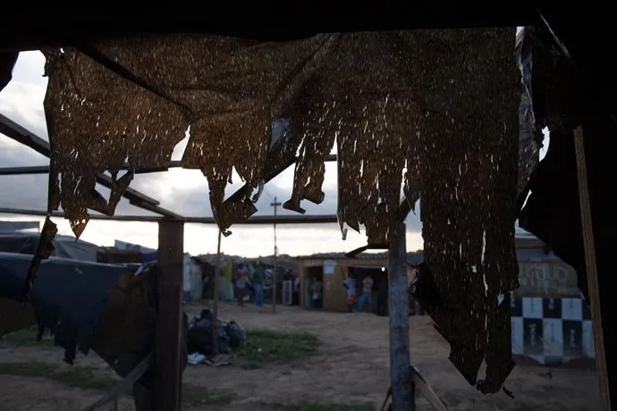 zohre-escaped Bildergalerie